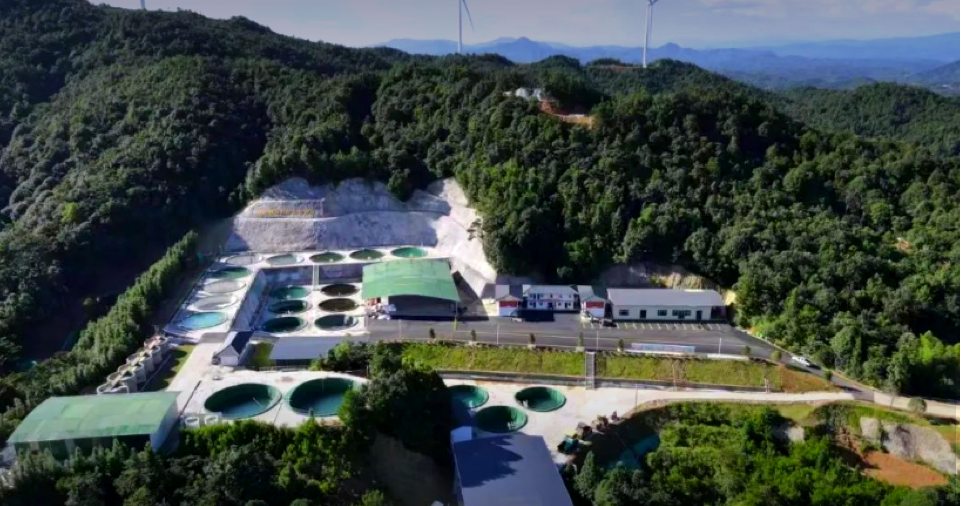 PA集团|中国官网